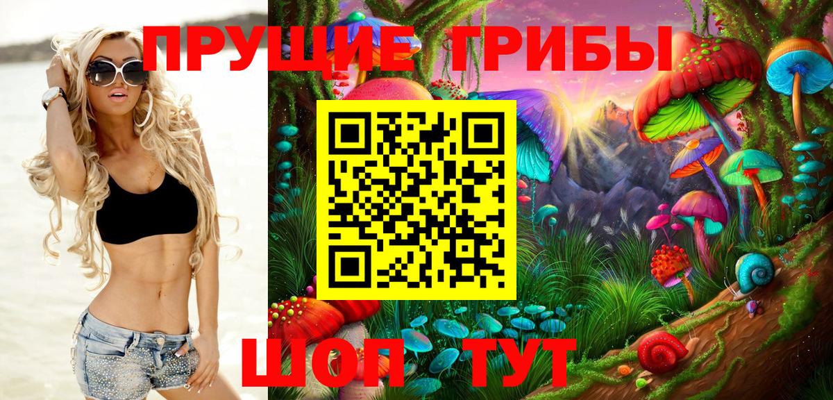 Стрежевой  Галлюциногенные грибы Cubensis  Вход с VPN 